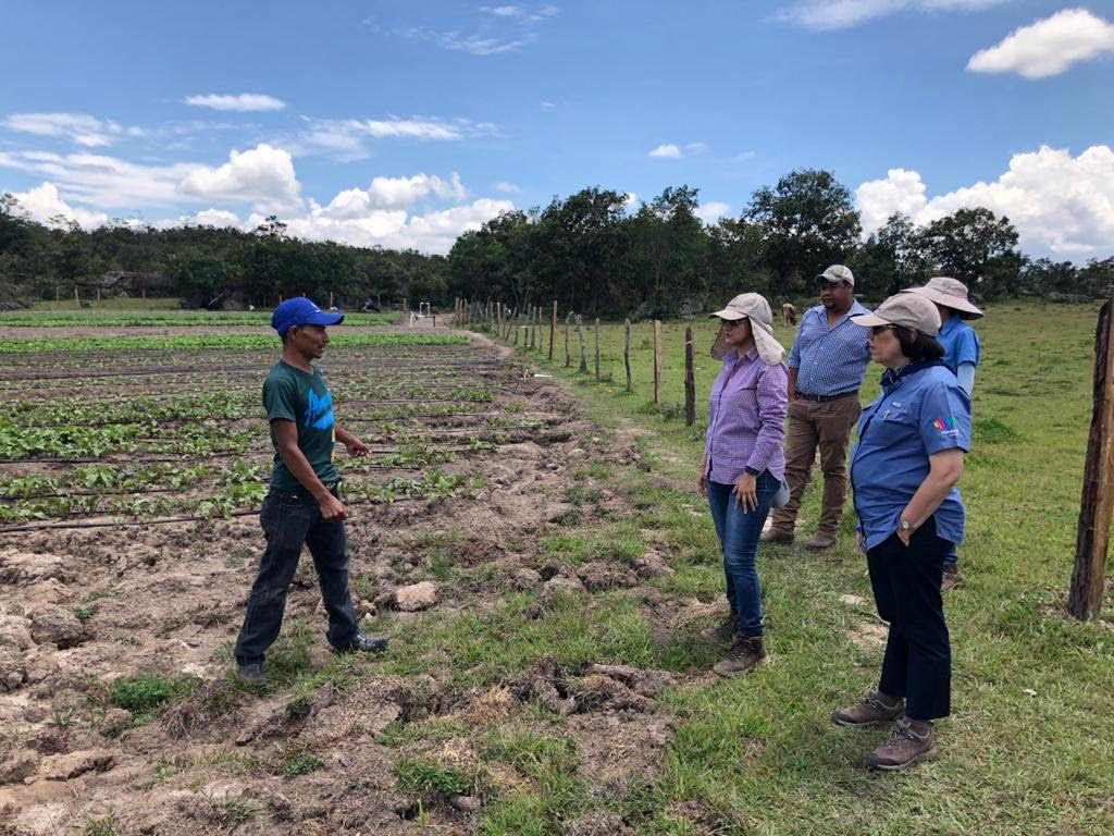 Destinan Fondos Para Cajas Rurales Agrodiario