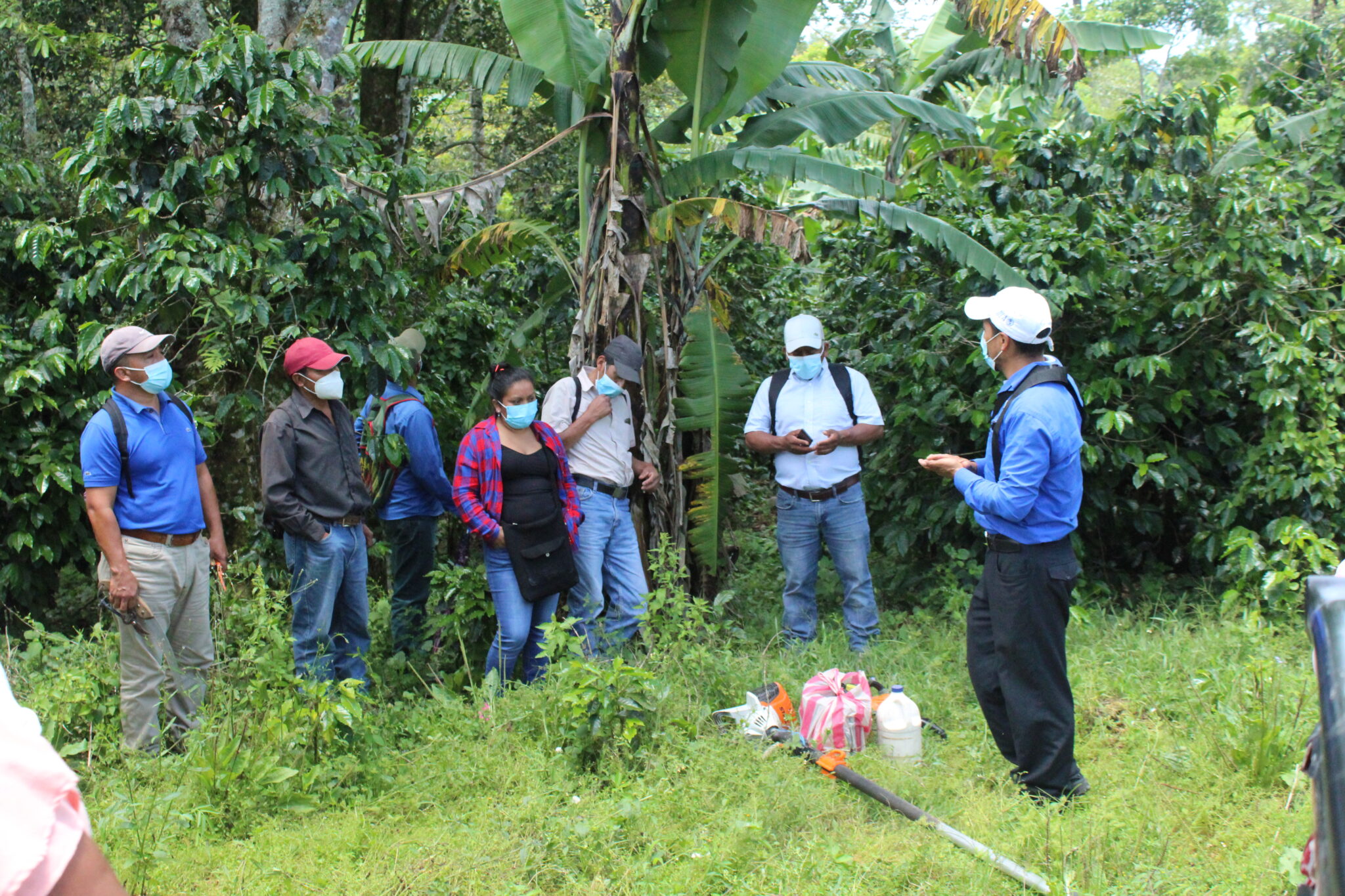 Lanzan Manual De Caficultura Sostenible - Agrodiario