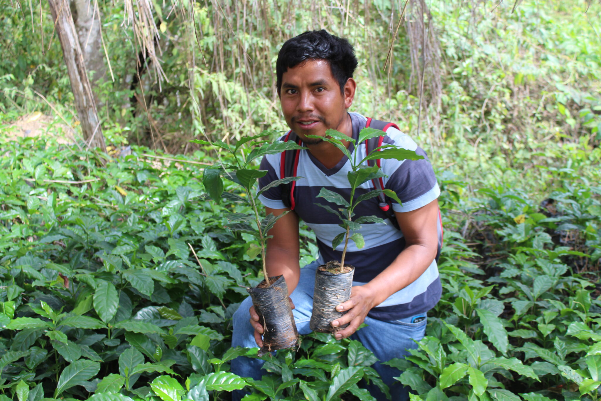 Exitoso Emprendimiento Rural Agrodiario 3471