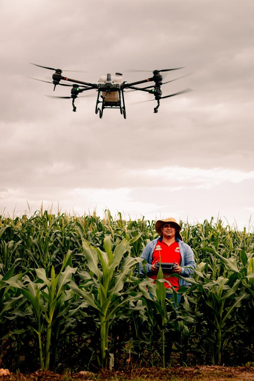 Agricultura Regenerativa